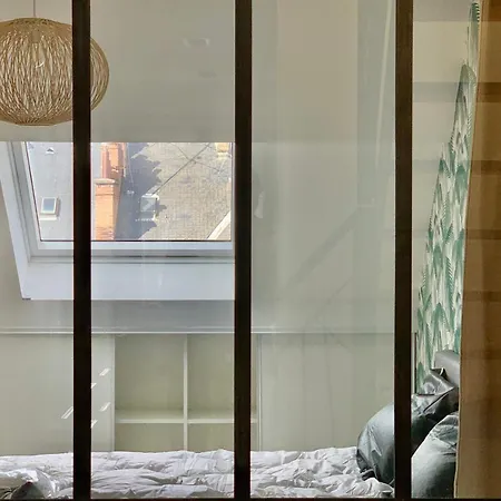 Superb Renovated Duplex In Hypercentre #Aj * Grenoble