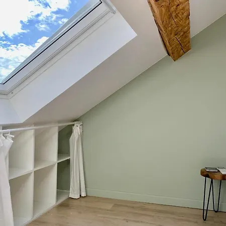 Superb Renovated Duplex In Hypercentre #Aj Apartment *