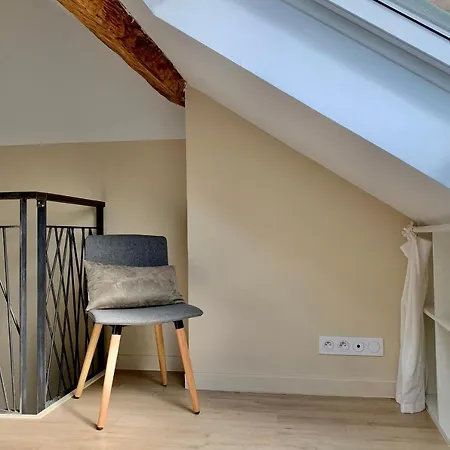 Superb Renovated Duplex In Hypercentre #Aj Grenoble